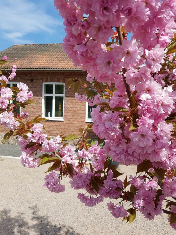 Horlinge Guesthouse Finja Esterno foto